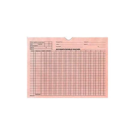 Asp A/P VoucherEnvelopeGeneralAccounting Style, 9" X 12", 100 Per Pk:Pink Pk 5473
